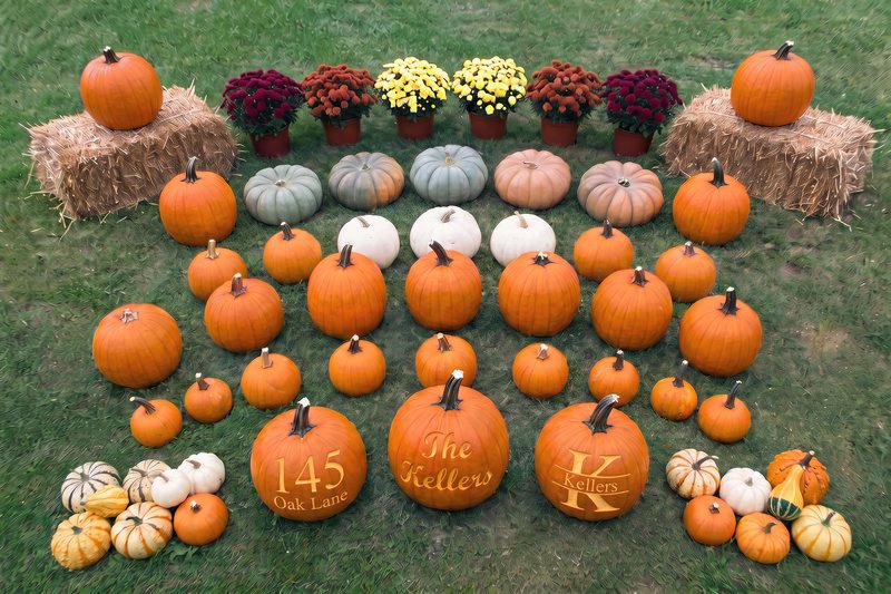 Everything in The Estate laid out on grass: pumpkins in mixed sizes and colors, white pumpkins, two straw bales, six mums, mini gourds, and three custom engraved pumpkins