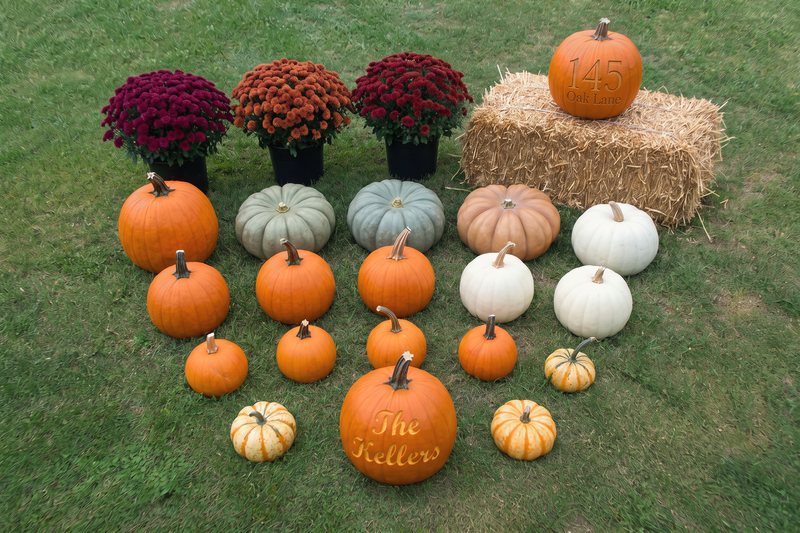 Everything in The Harvest laid out on grass: pumpkins in mixed sizes and colors, white and sage green pumpkins, one straw bale, three mums, mini gourds, and two custom engraved pumpkins, a family name and a house number