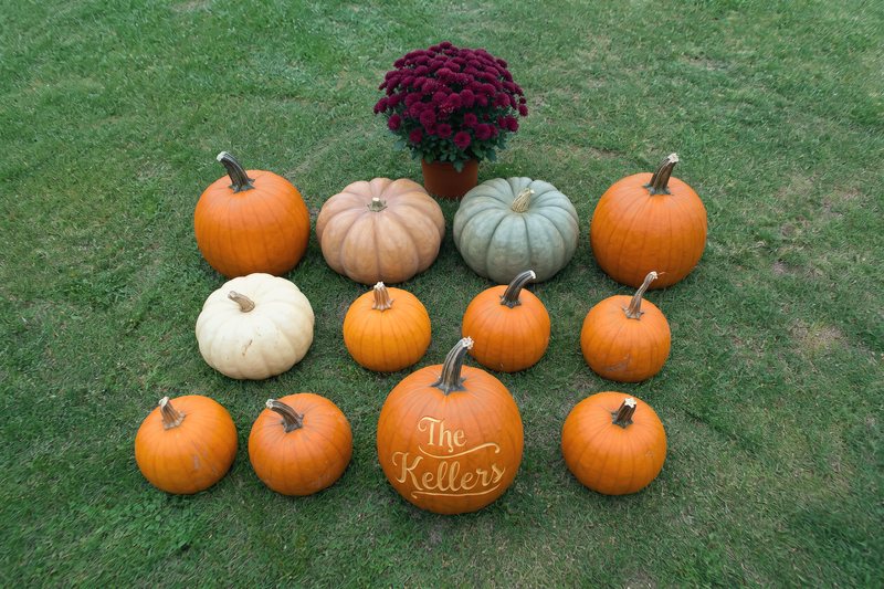 Everything in The Signature Porch laid out on grass: pumpkins in mixed sizes and colors, heirlooms, one mum, and one custom engraved pumpkin